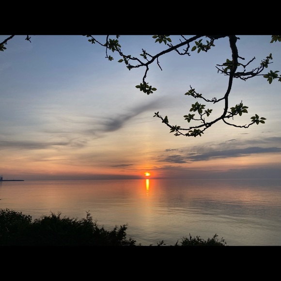 Meet your Posher, Kate - Picture 1 of 1